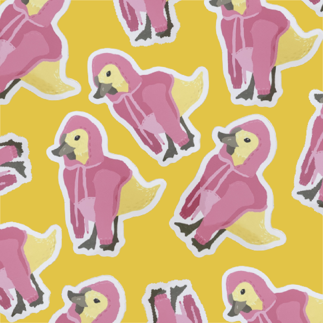 hoodie duck social and website images-01.png