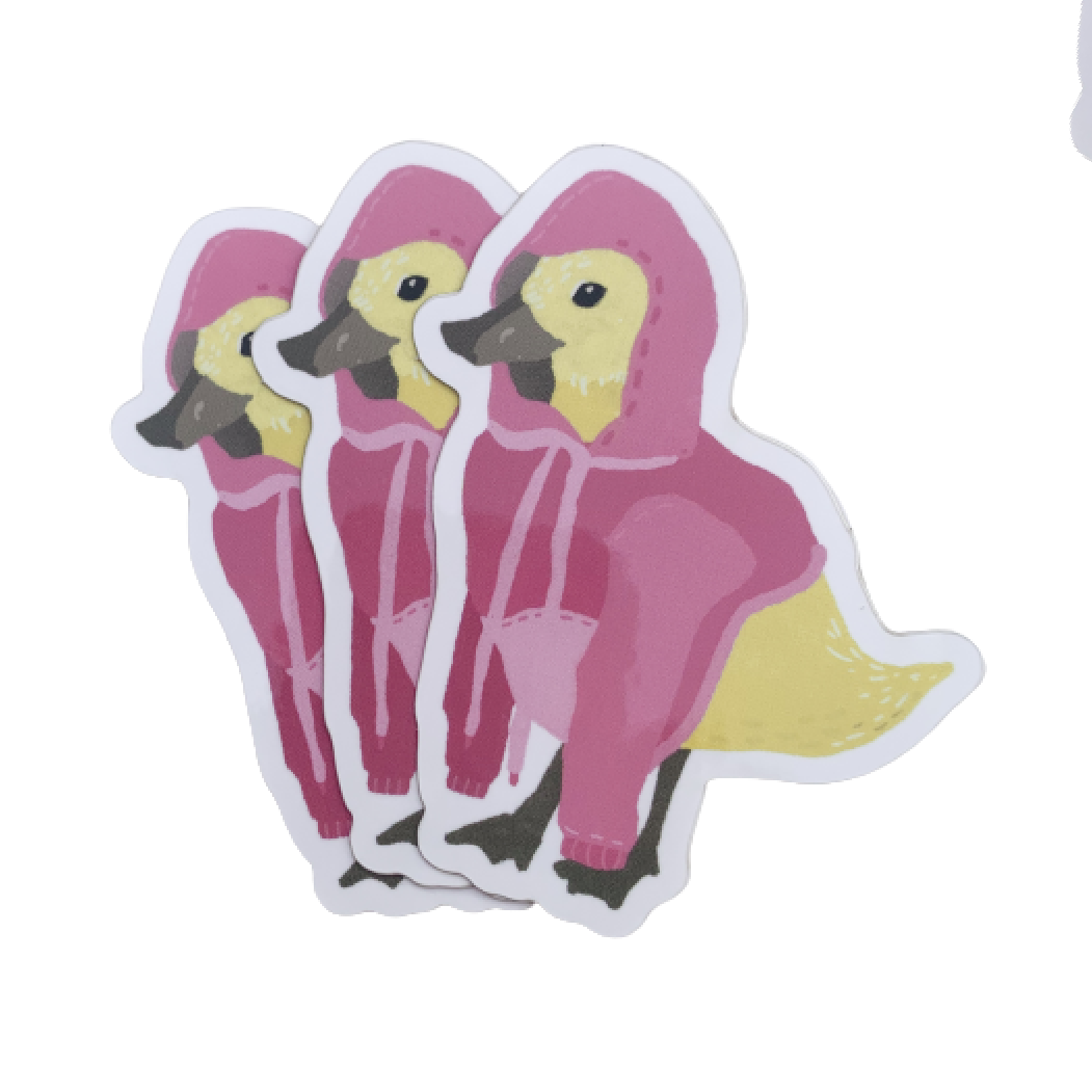 hoodie duck social and website images-07.png