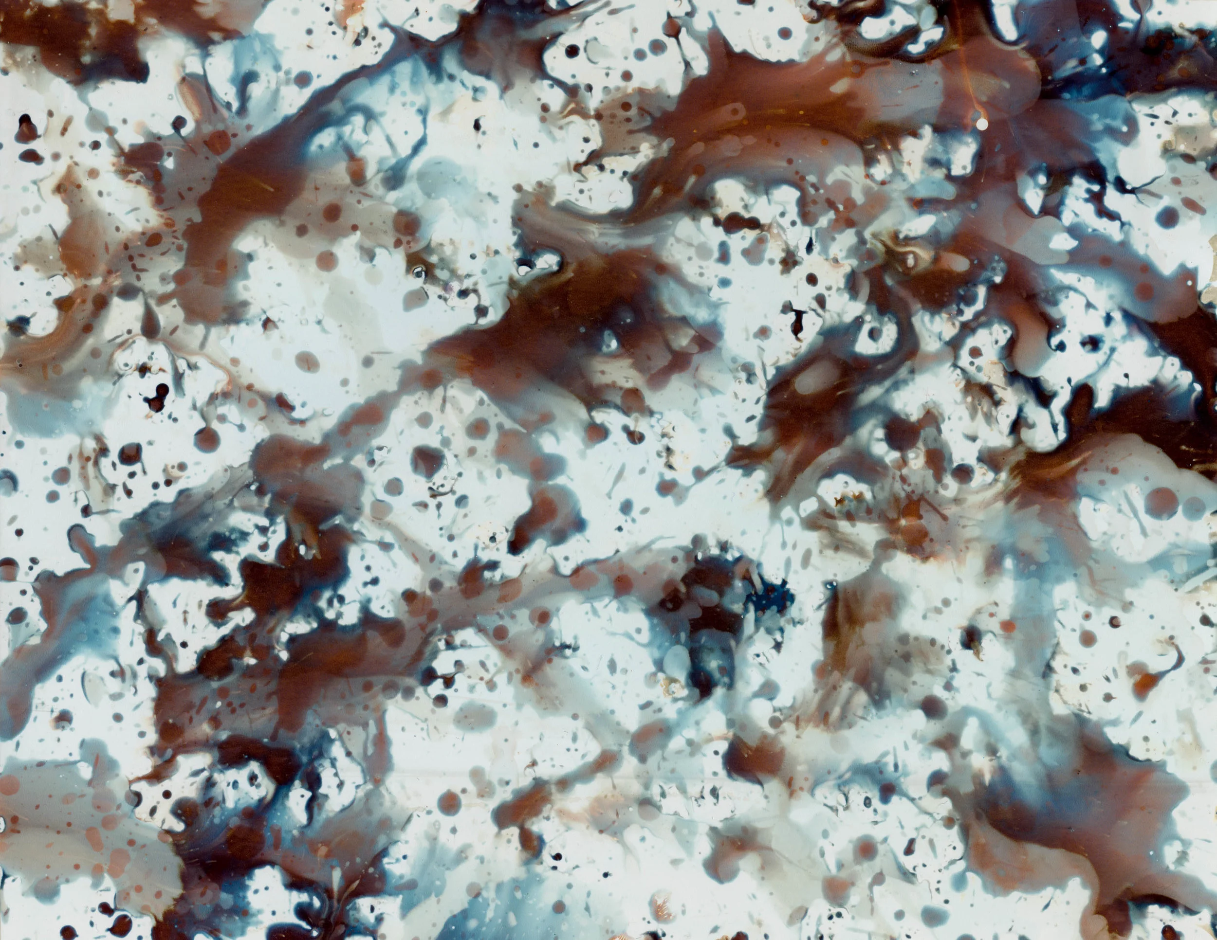 Baited Breath, 2018