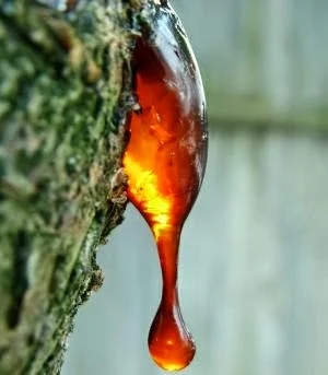 Myrrh-resin1.jpeg