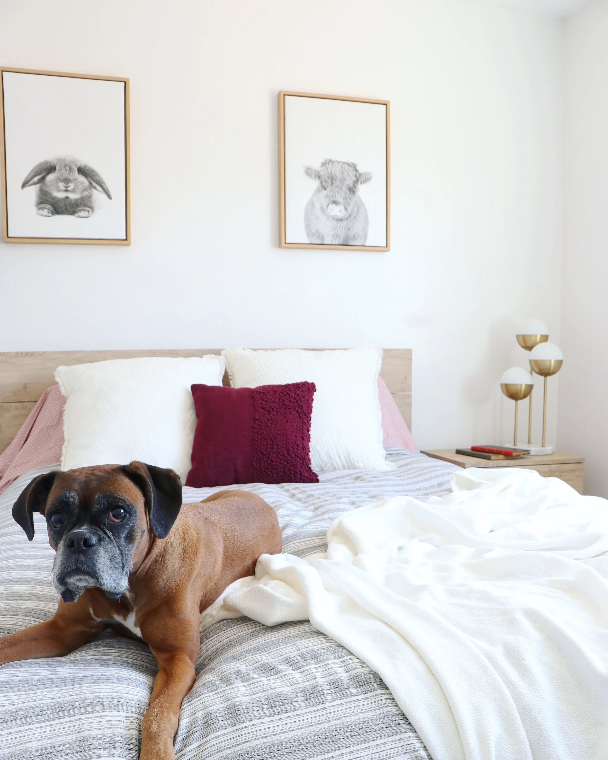  Project 62, Target, Bedroom Decor Ideas, Modern Bedroom, Girly Bedroom Decor, The Crisp Interior, Sierra Crisp, Interior Design Santa Clarita, Interior Designer, Home Staging Santa Clarita, Staged Home,  