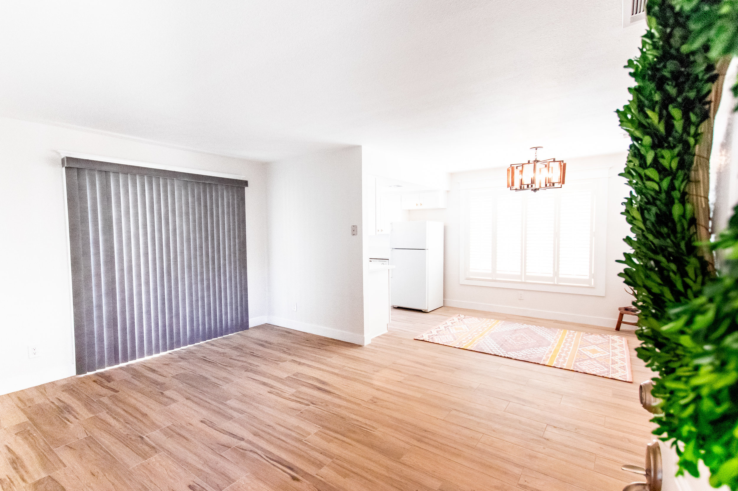 IMG_5714.jpg