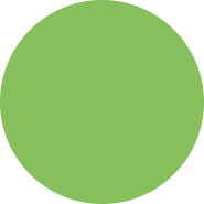 Fern