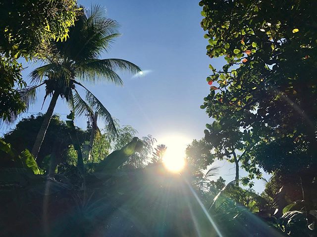 &ldquo;But you, Lord, are a shield around me, my glory, the One who lifts my head high.&rdquo;
‭‭Psalm‬ ‭3:3‬ ‭