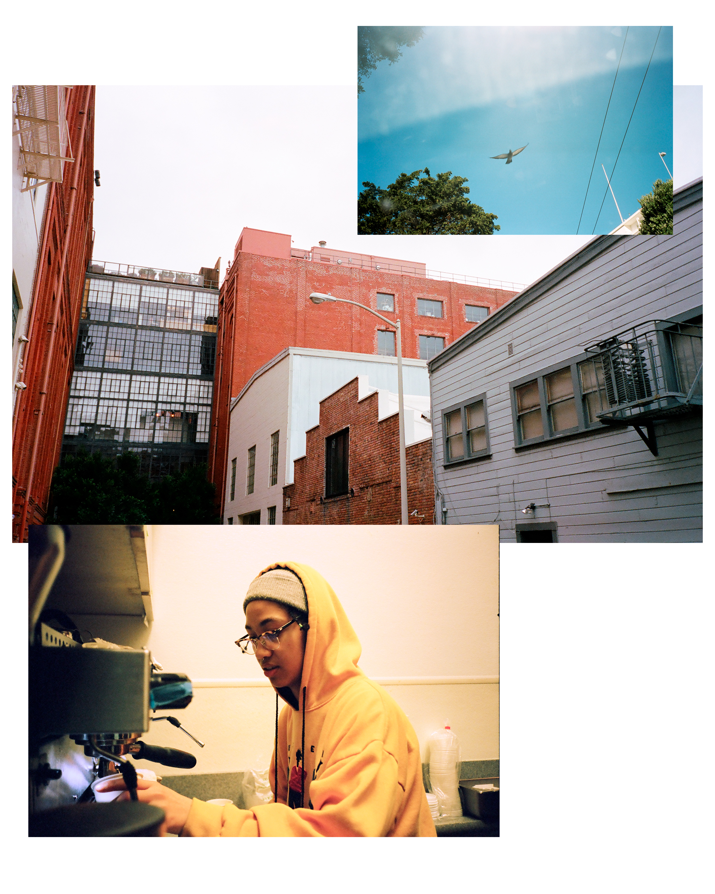 2-Little-Window-Plates-6.jpg