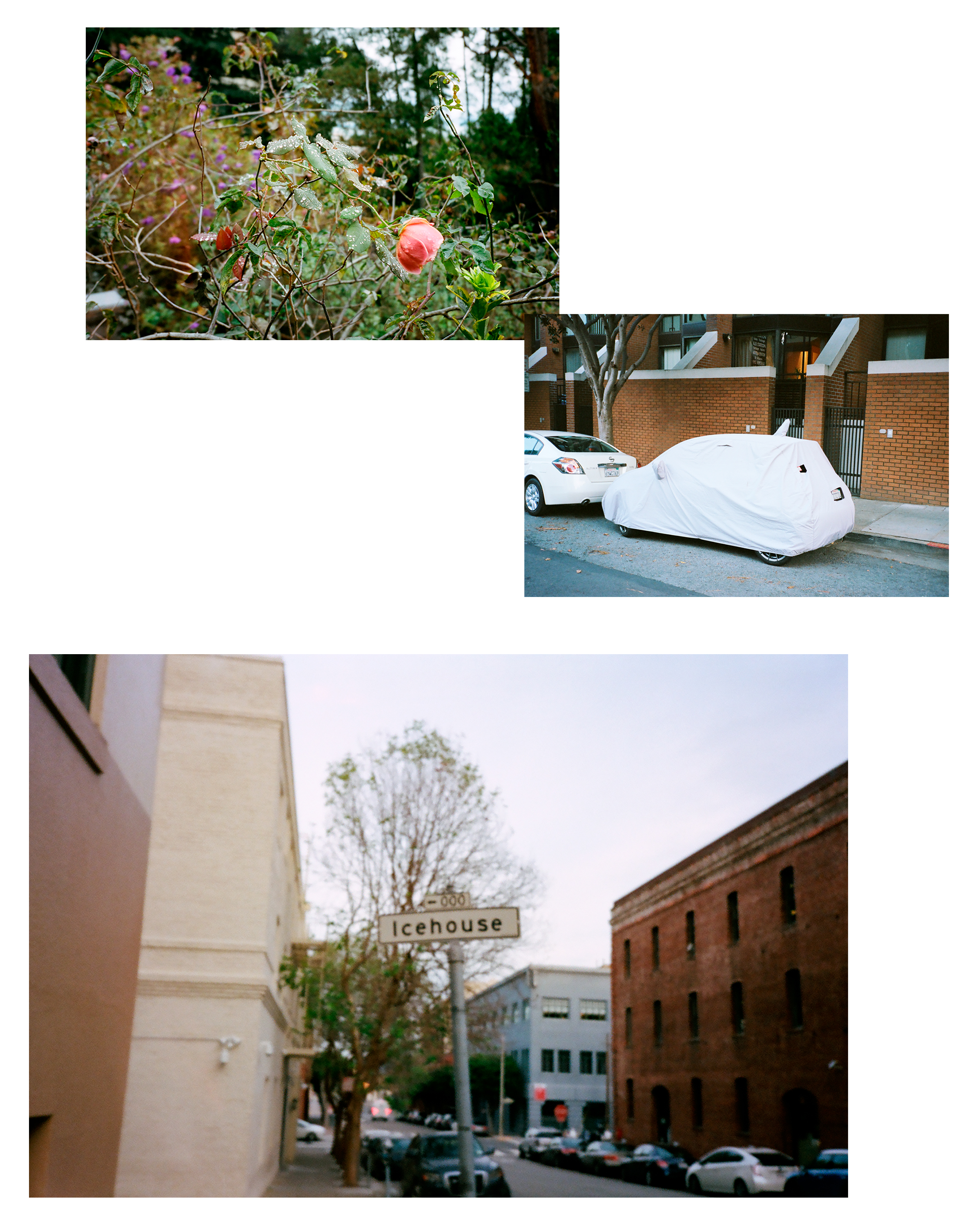 7-Little-Window-Plates-36.jpg