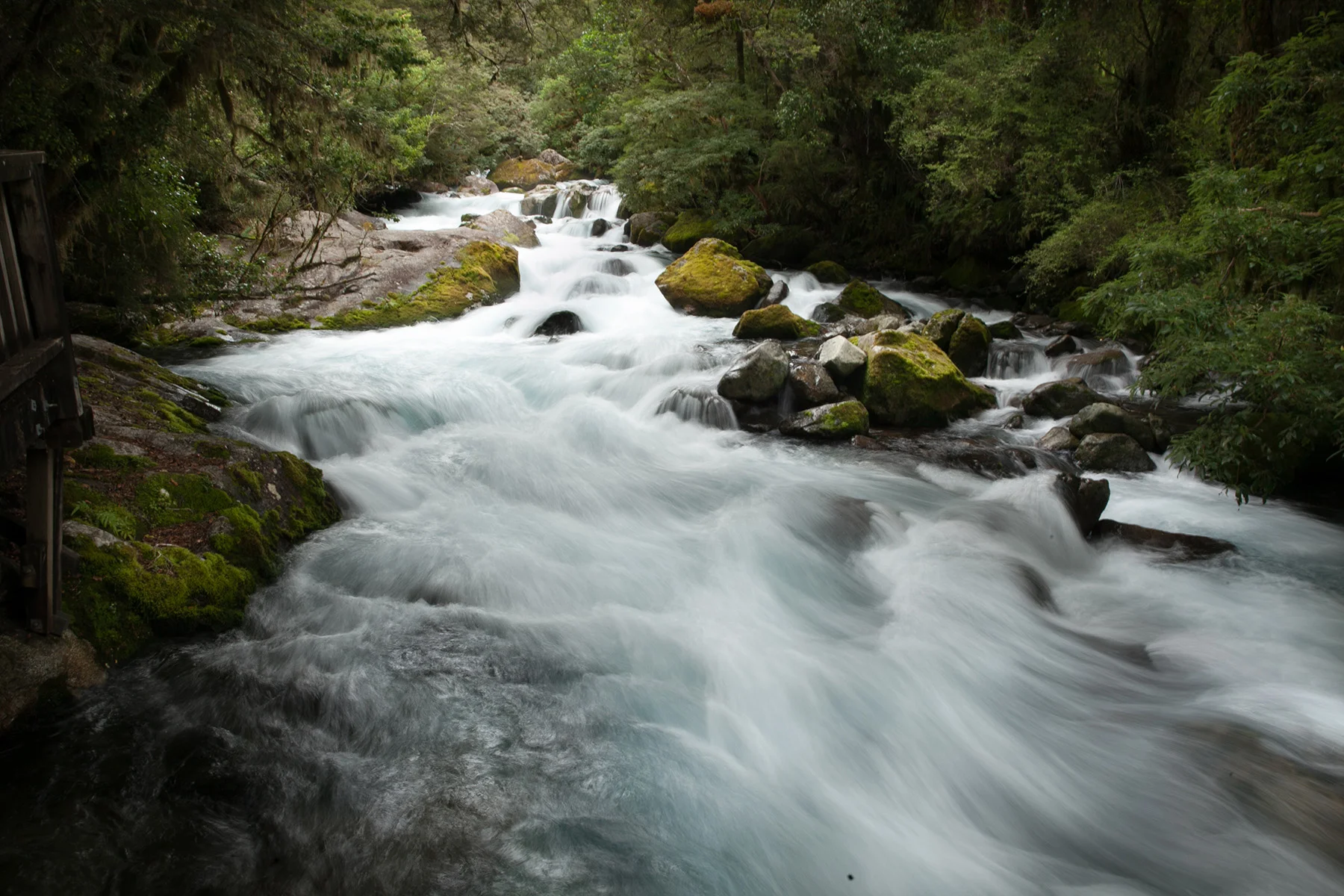 New Zealand