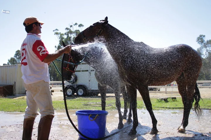 polo_horse_wash_5.jpg