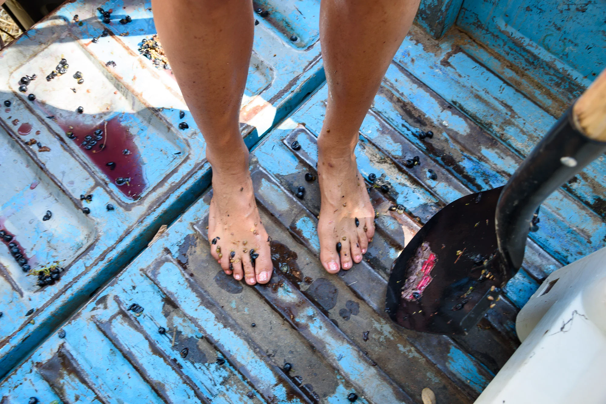 Barefoot Crush