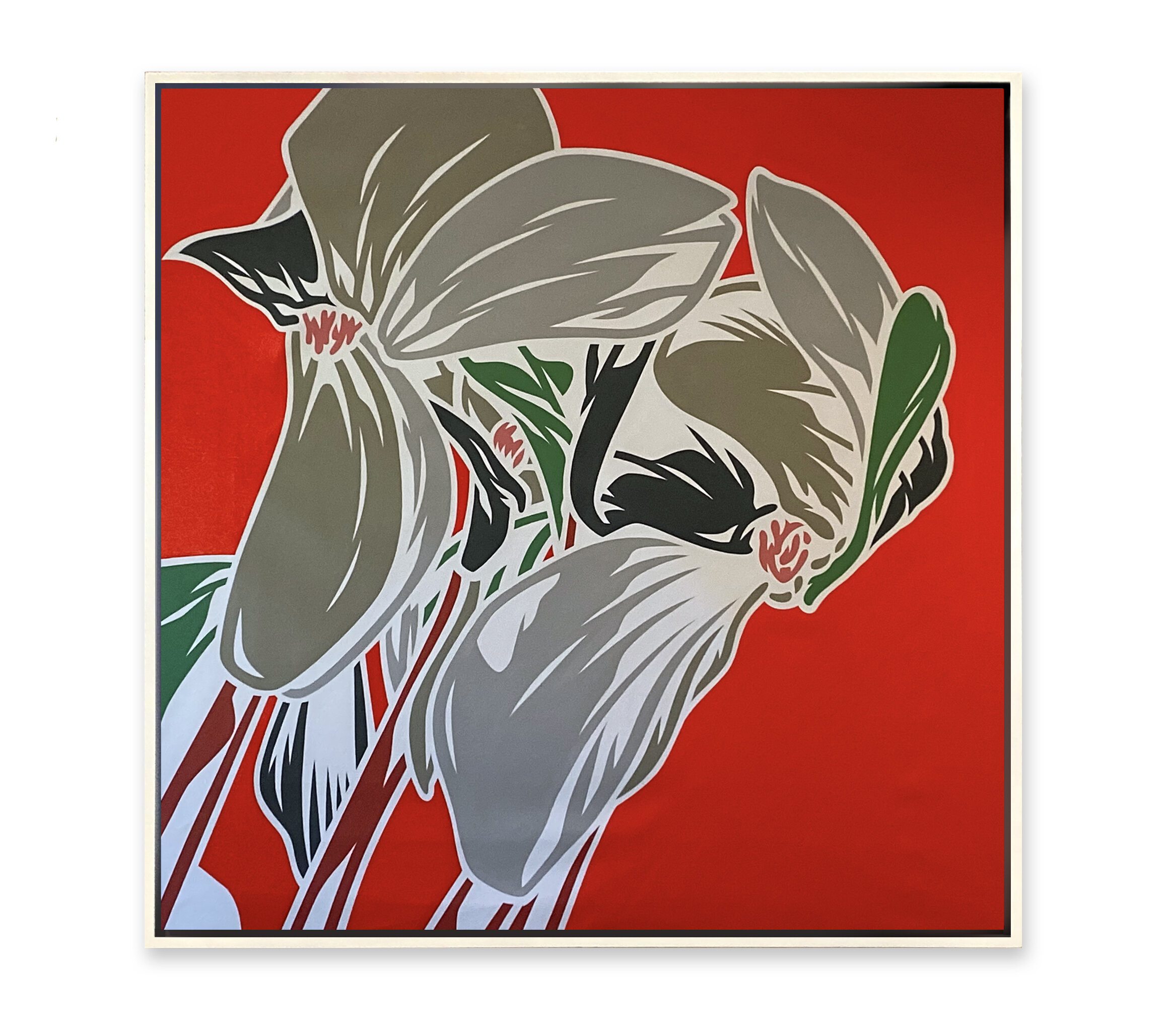 A New Perscription For Rose Tinted Glasses.JPG