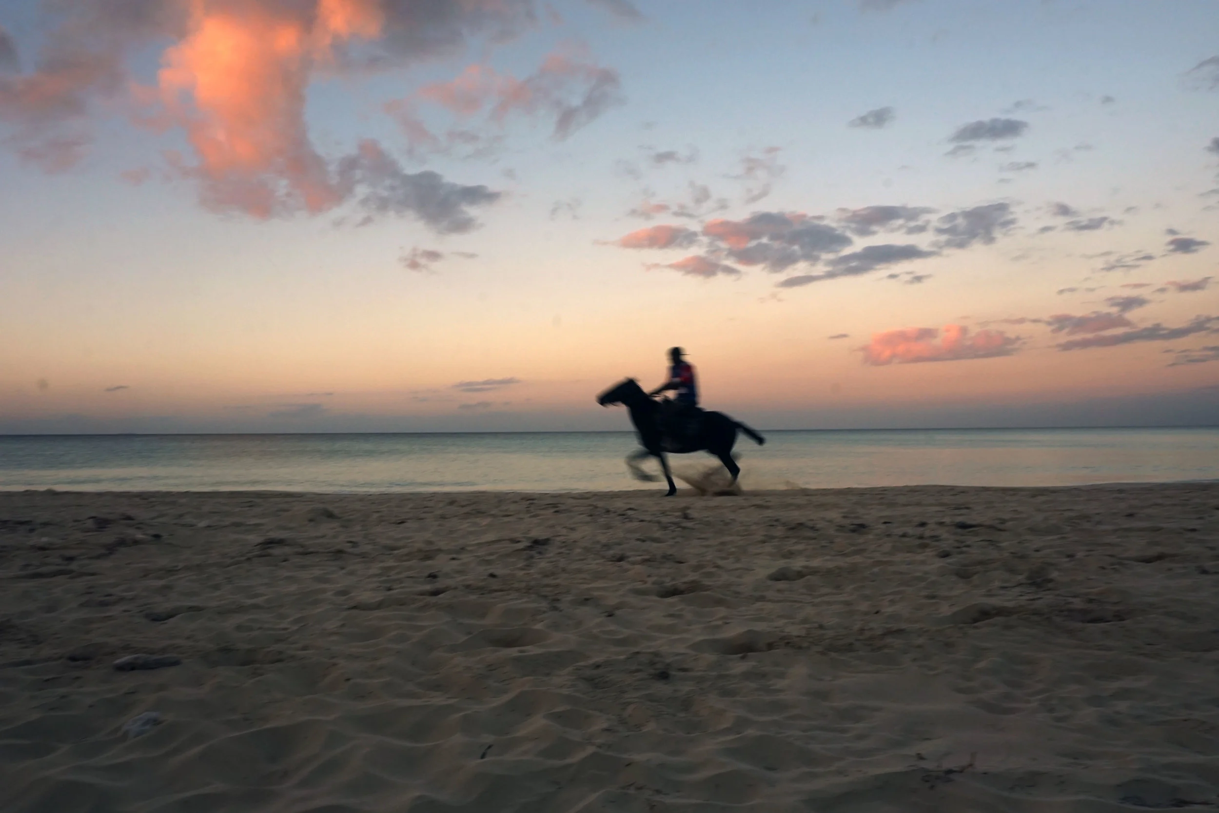 YanniqueHall_CubaBeachHorse.jpg