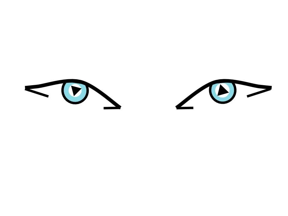 Sue Costello Eyes copy.jpeg