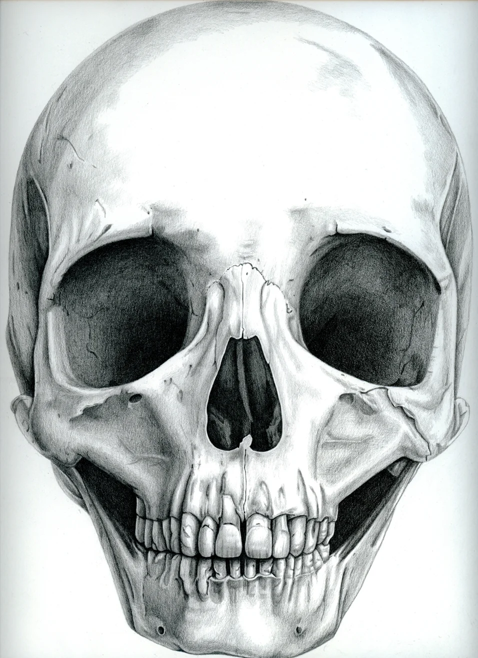 Skull