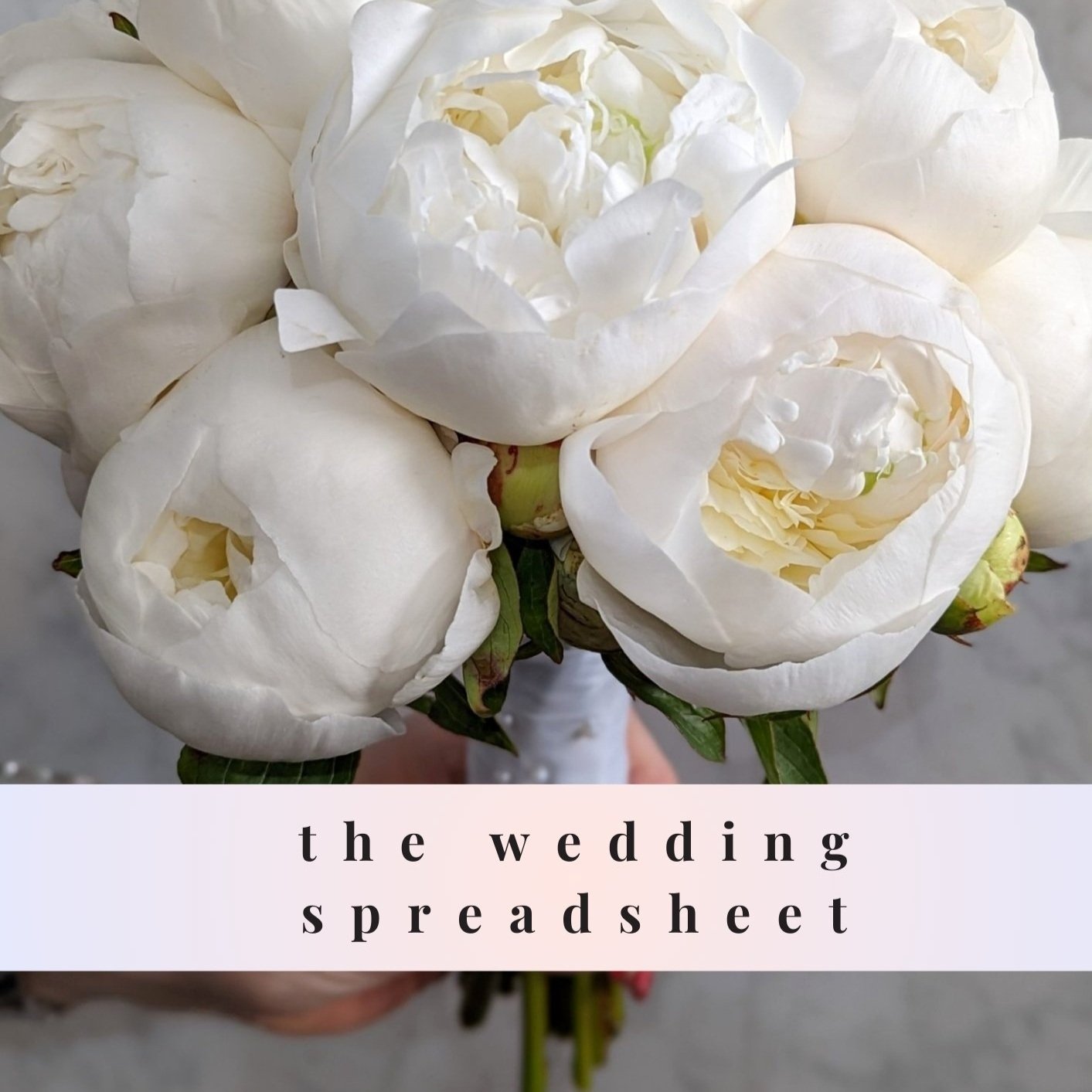The+Wedding+spreadsheet.jpg