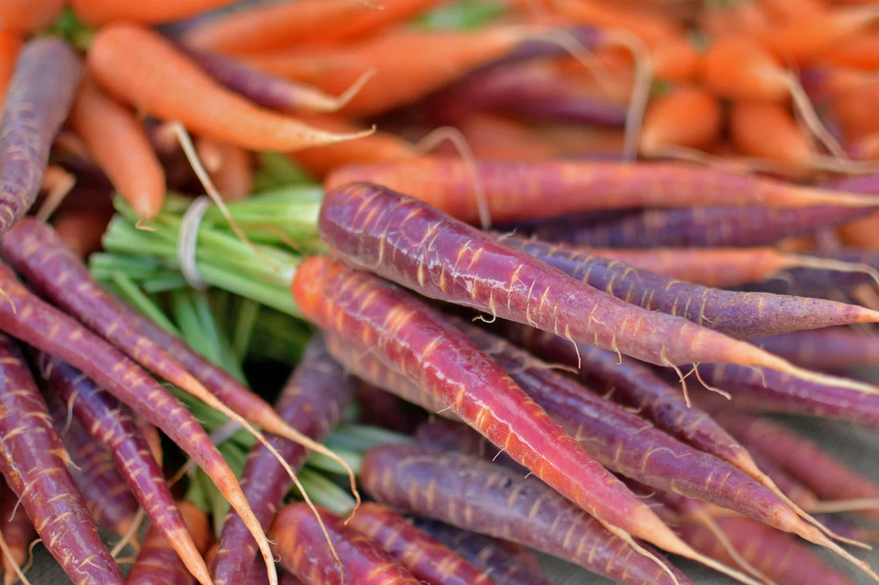 Carrots.jpg