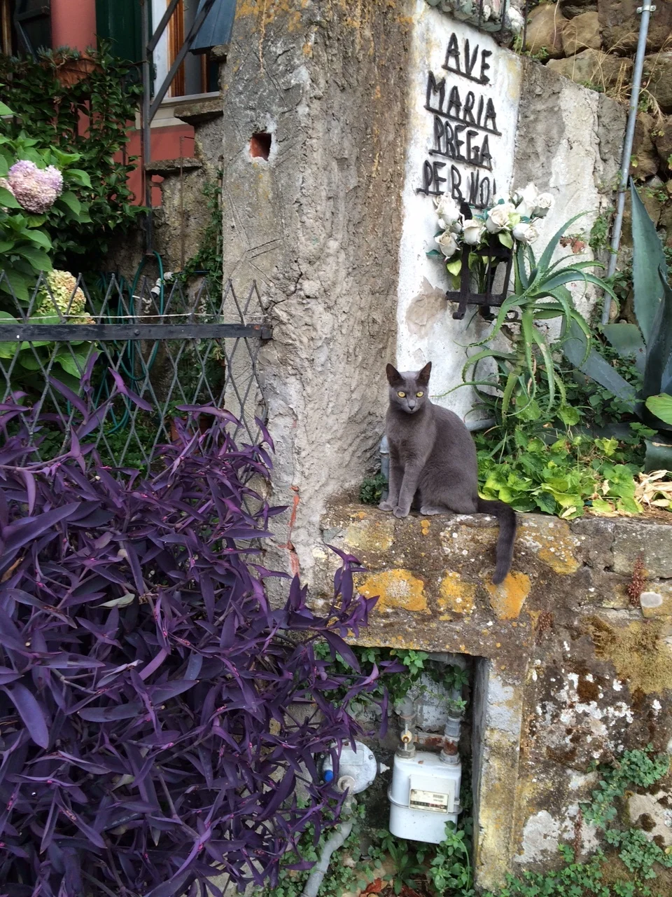 Ave Maria, Manarola, Cinque Terre, Italia