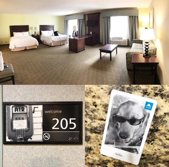 Arlington Hampton inn full.jpg