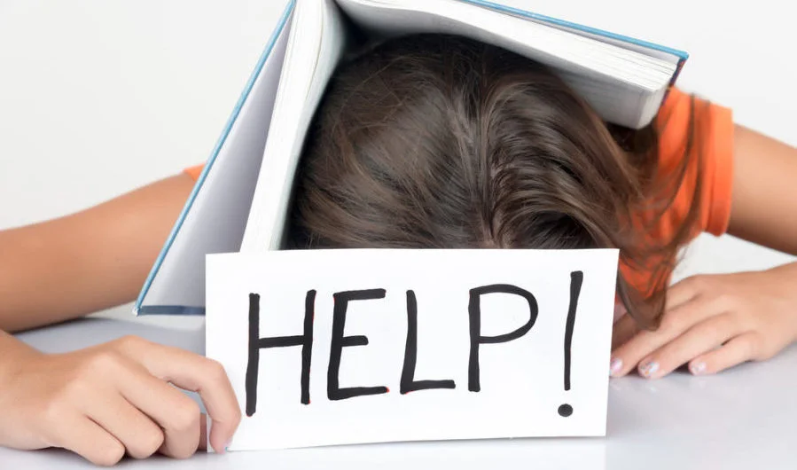Featured at Alpha Mom: Homework Strategies for a Happier Household