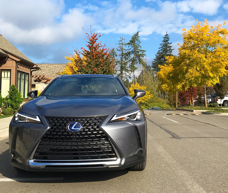 Lexus UX w fall colors.png