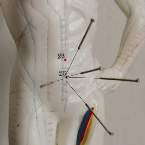 Changing the Moving Program of Life (Level 2, Part 2)