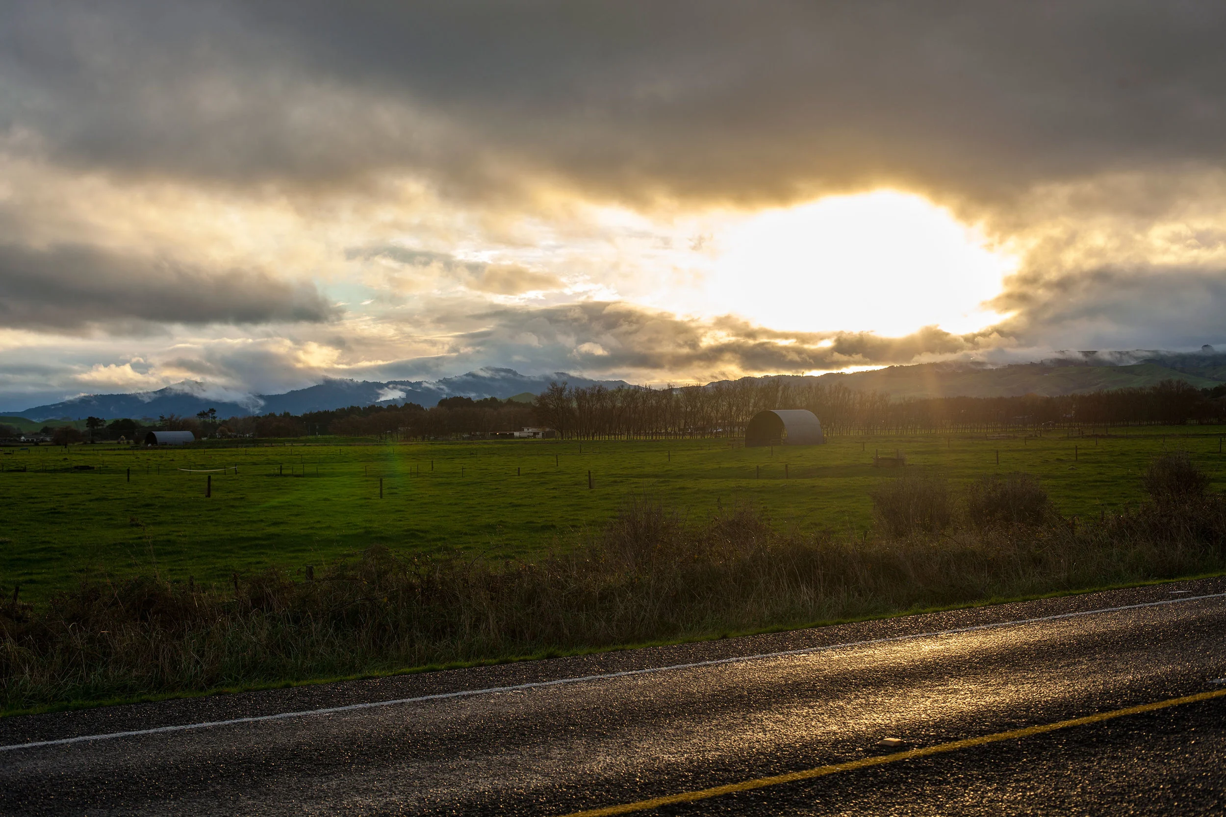 _MG_2676.jpg