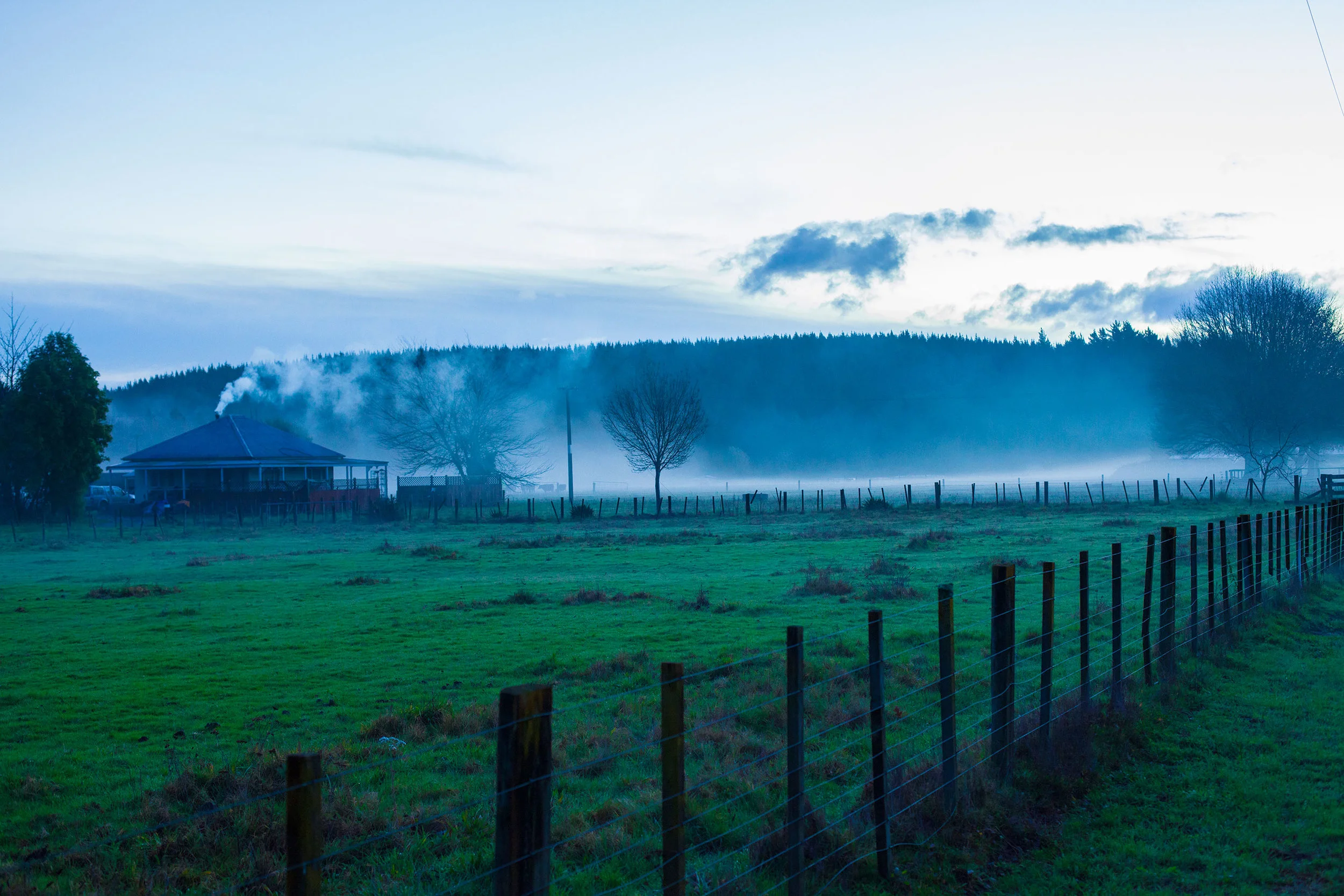 _MG_3448.jpg
