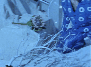 Jacob Collier-low-2.gif