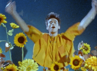 Jacob Collier-low.gif