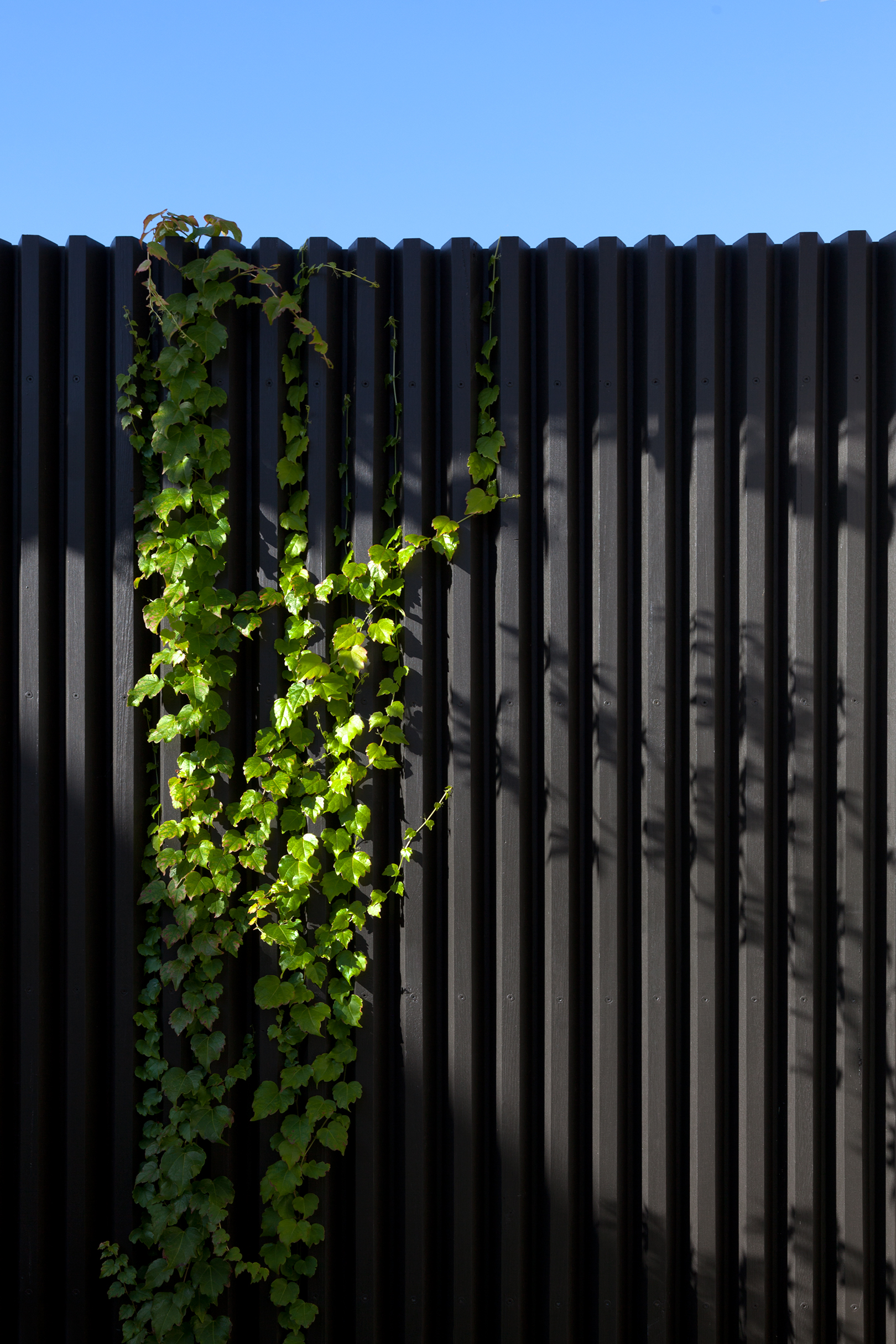 Finlay-St_Matyas-Architects_MG_0536.jpg