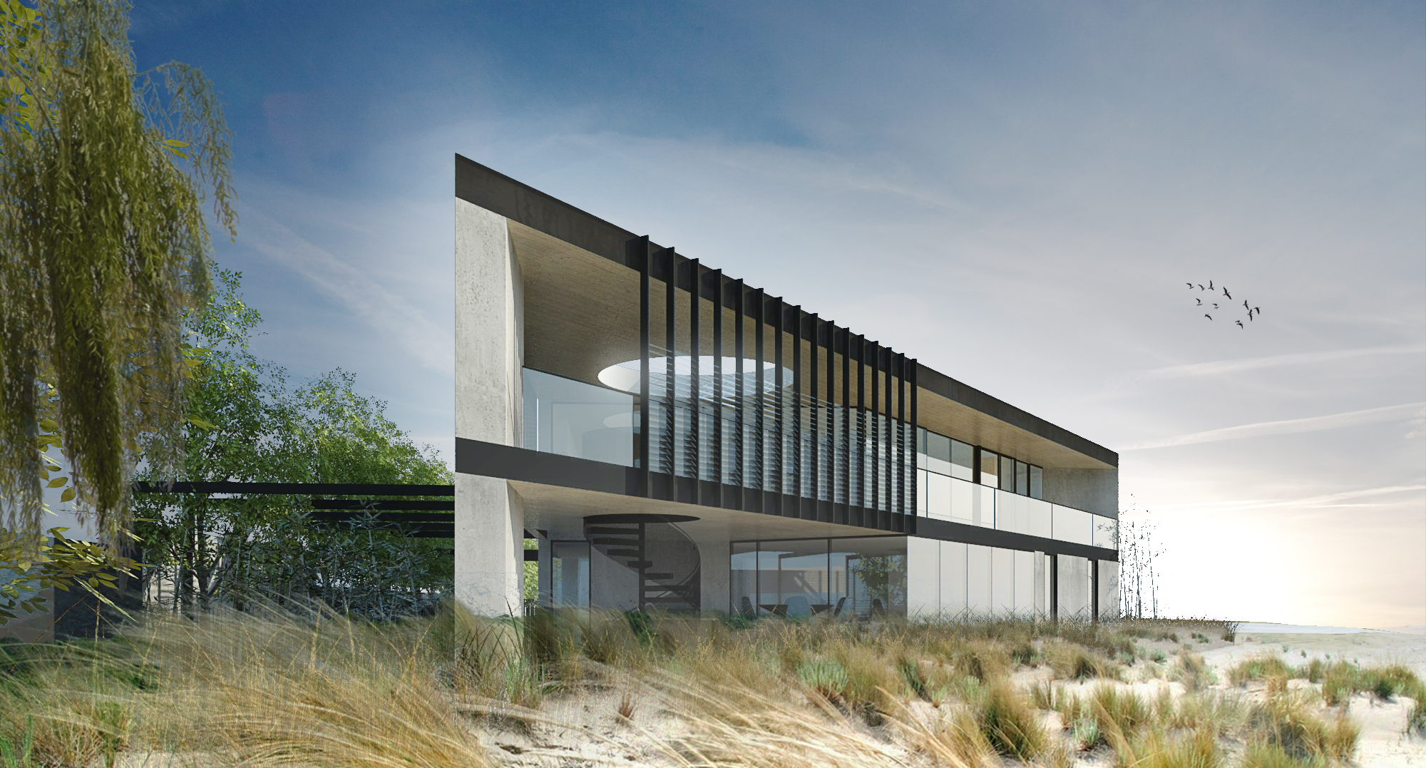 01_MONEY SHOT copy.jpg