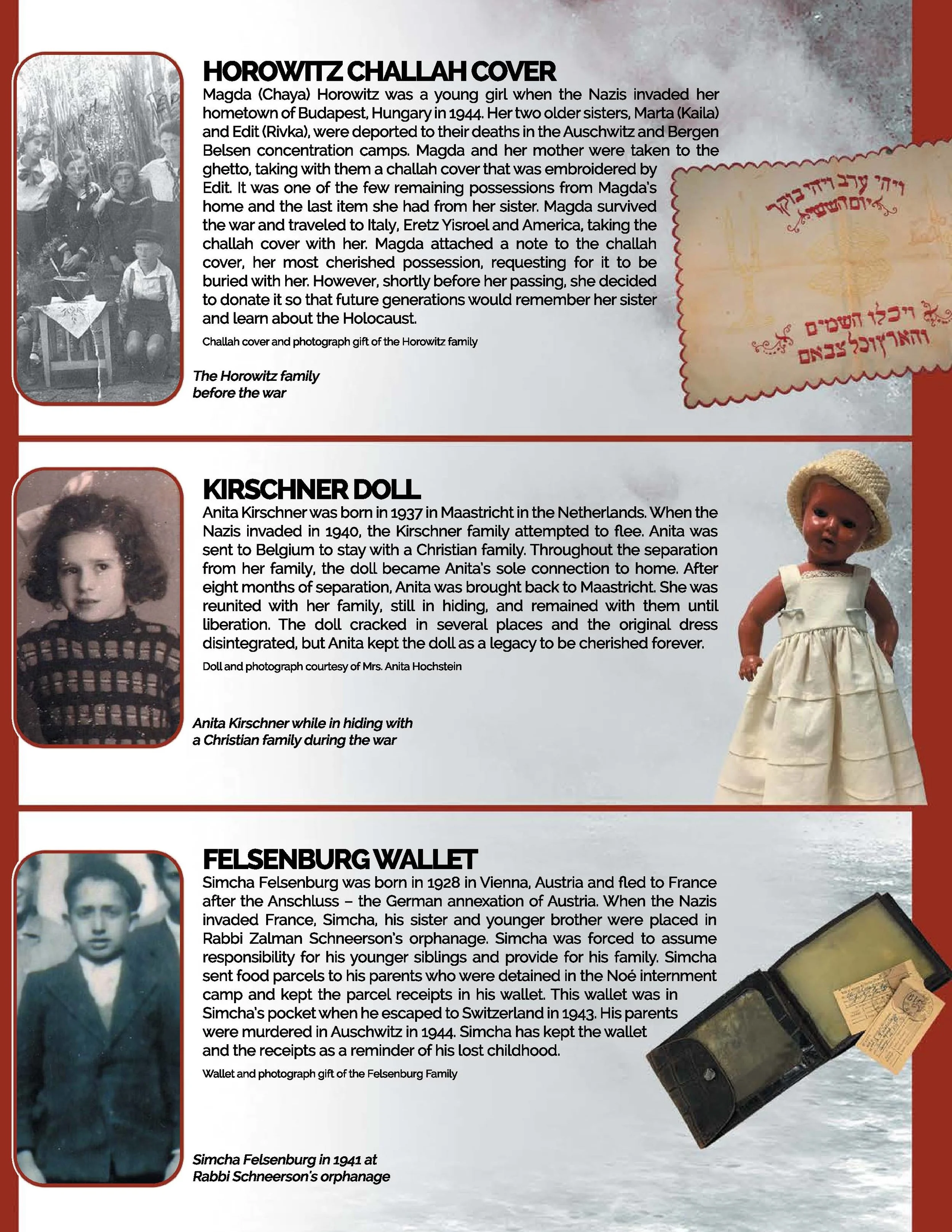 Born to live_Web version-3.jpg