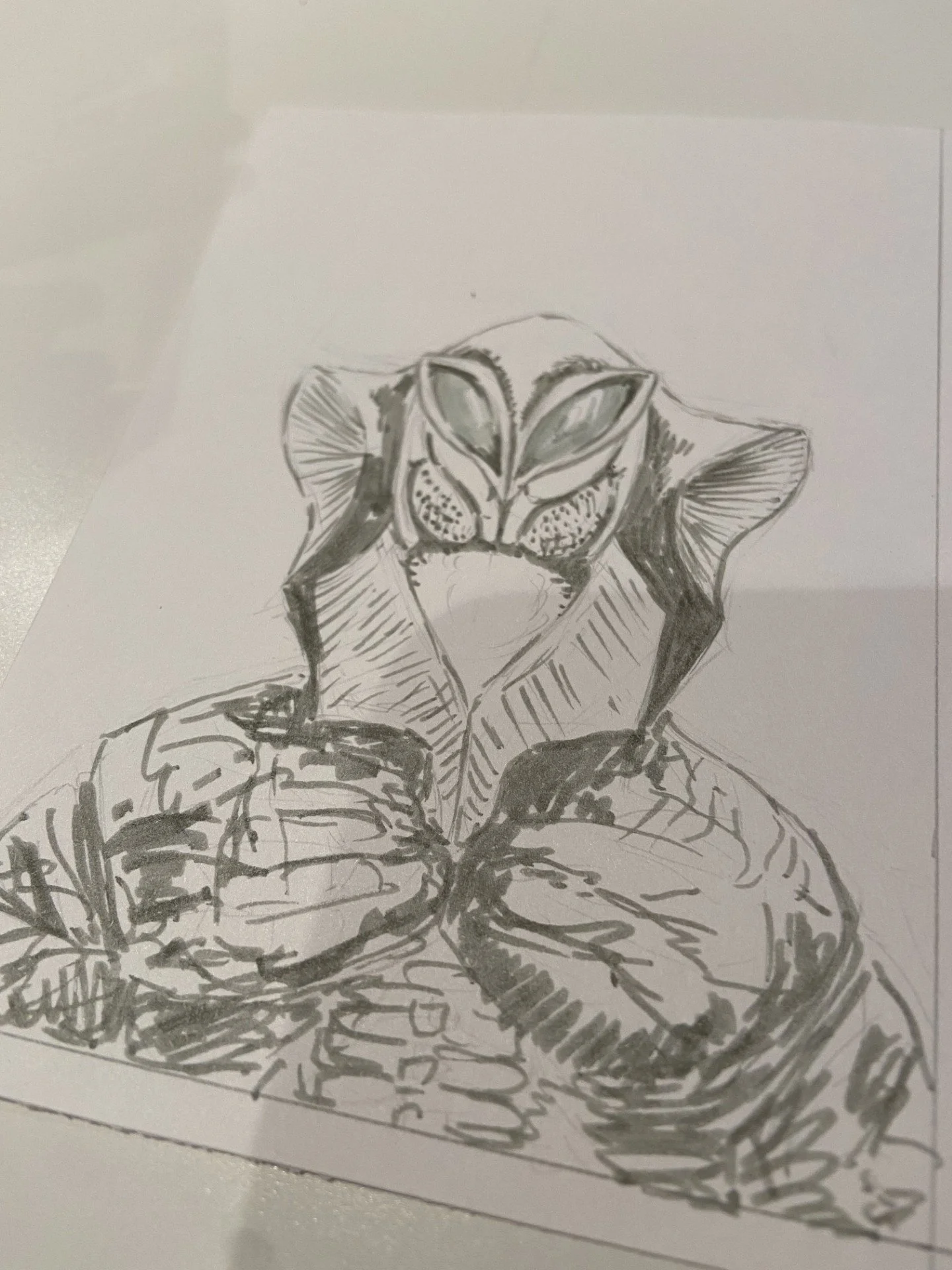 thumbnail_IMG_8314.jpg