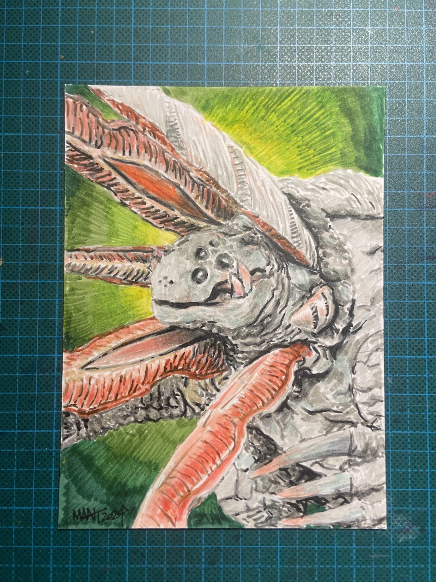 thumbnail_IMG_7242.jpg