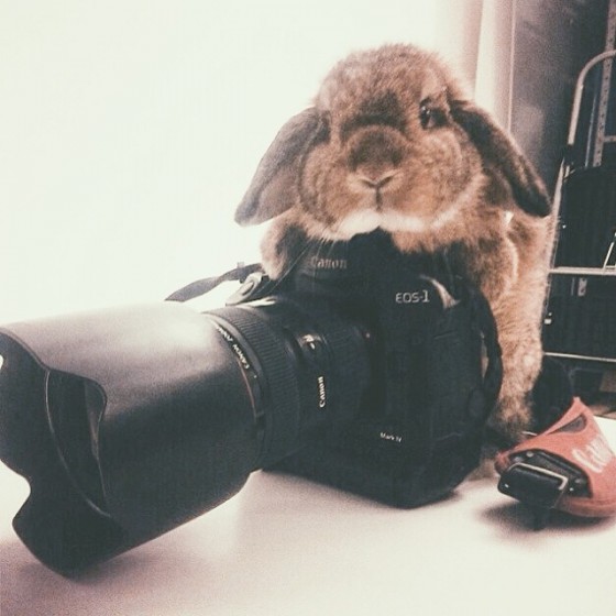 ferris-behind-the-camera-e1458867425430.jpg