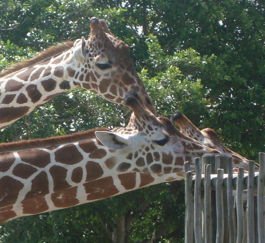 bath-and-zoo-may2012-124.jpg
