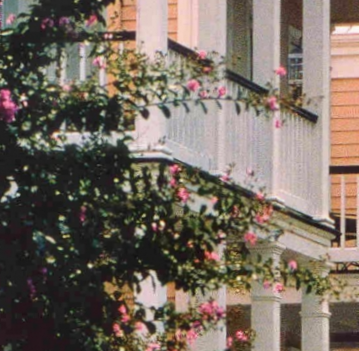 Page 0-Cover of my Article in Land Development Magazine.jpg