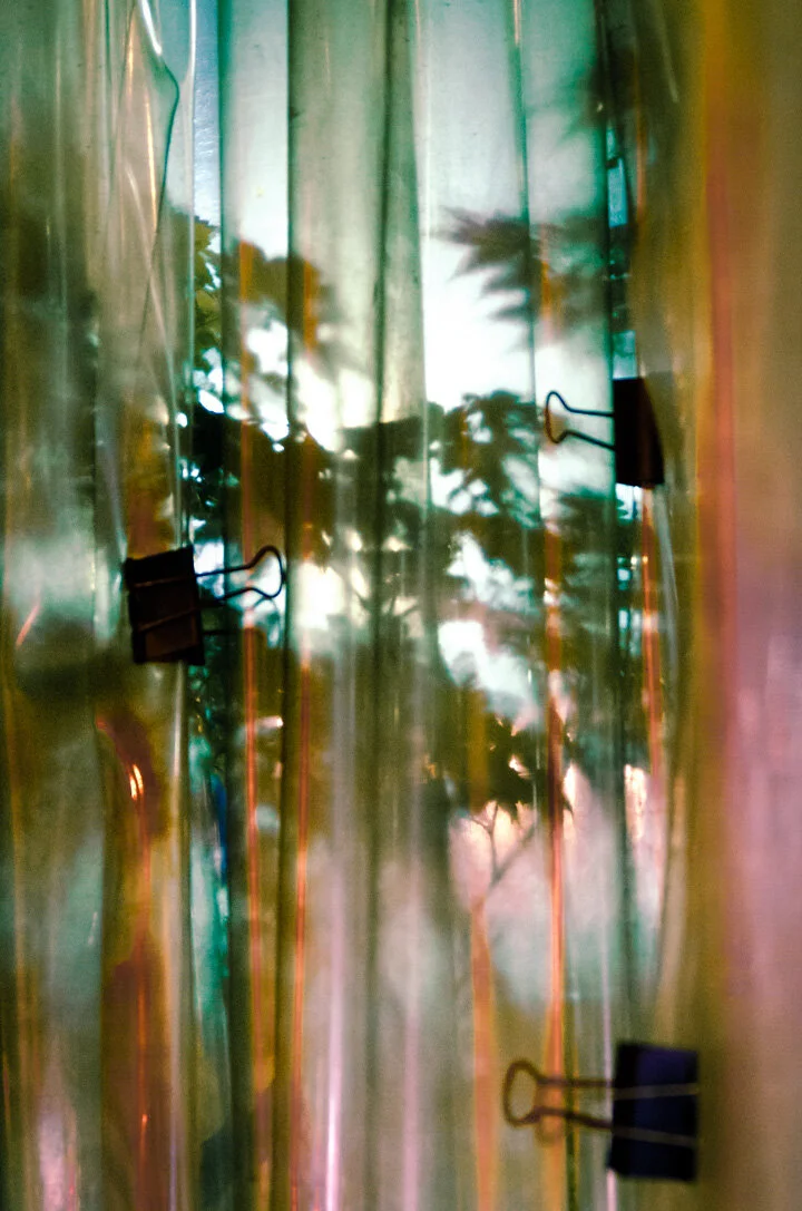 Vinyl Forest.jpg