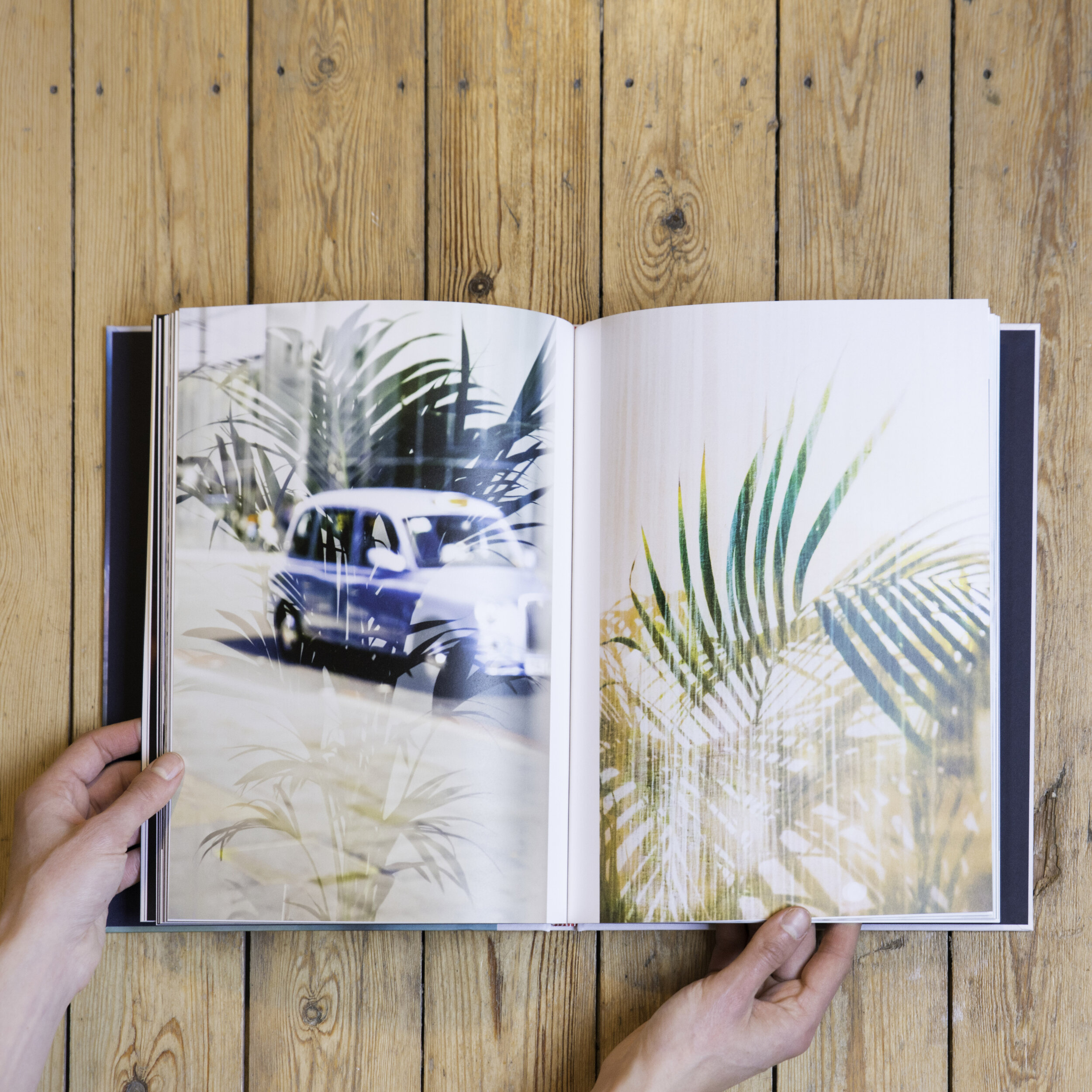 interior_Safari.jpg