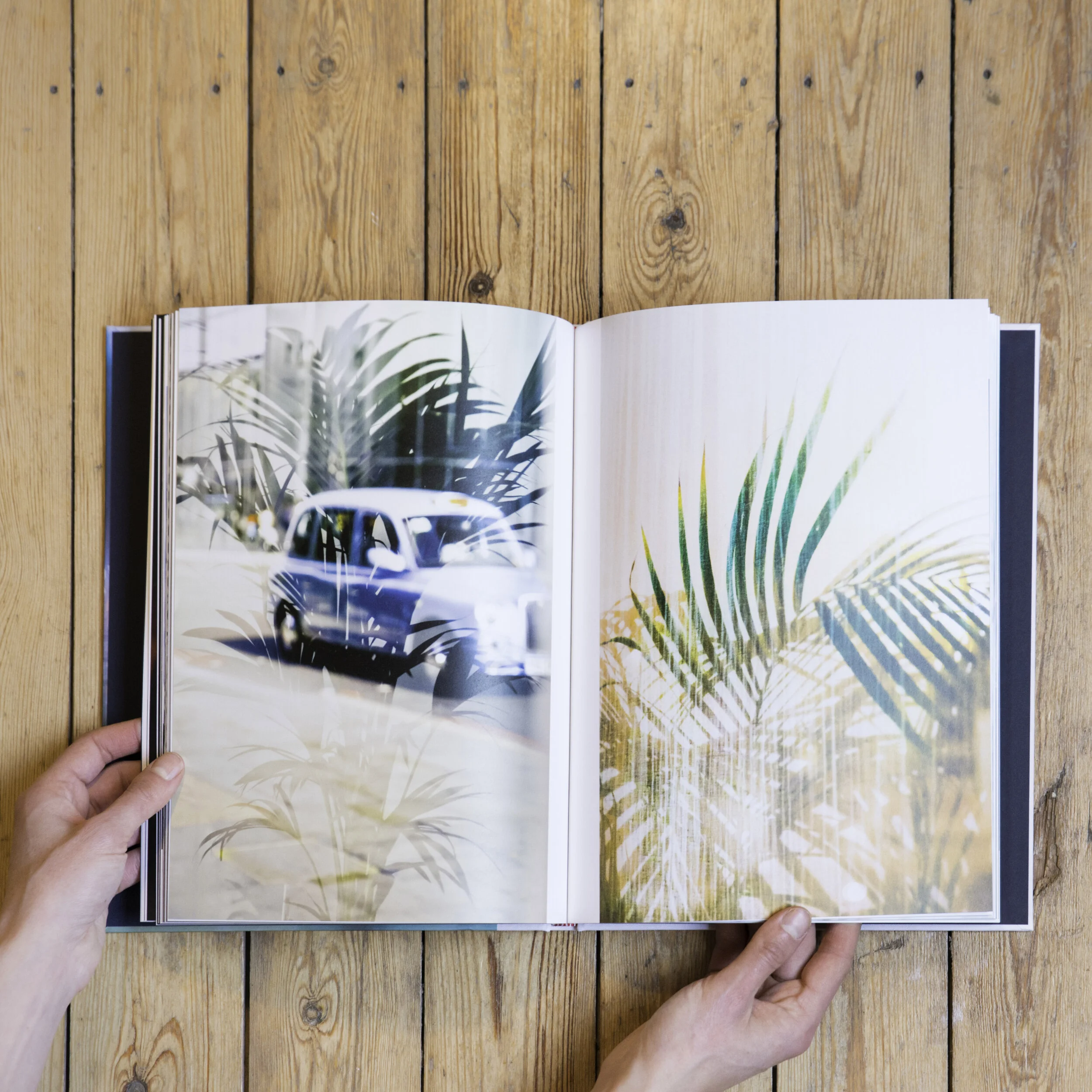 interior_Safari.jpg
