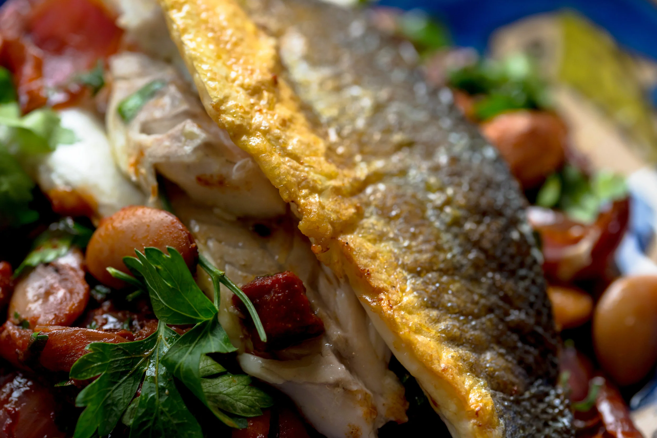 Seabass with Butterbean and Chorizo Ragu