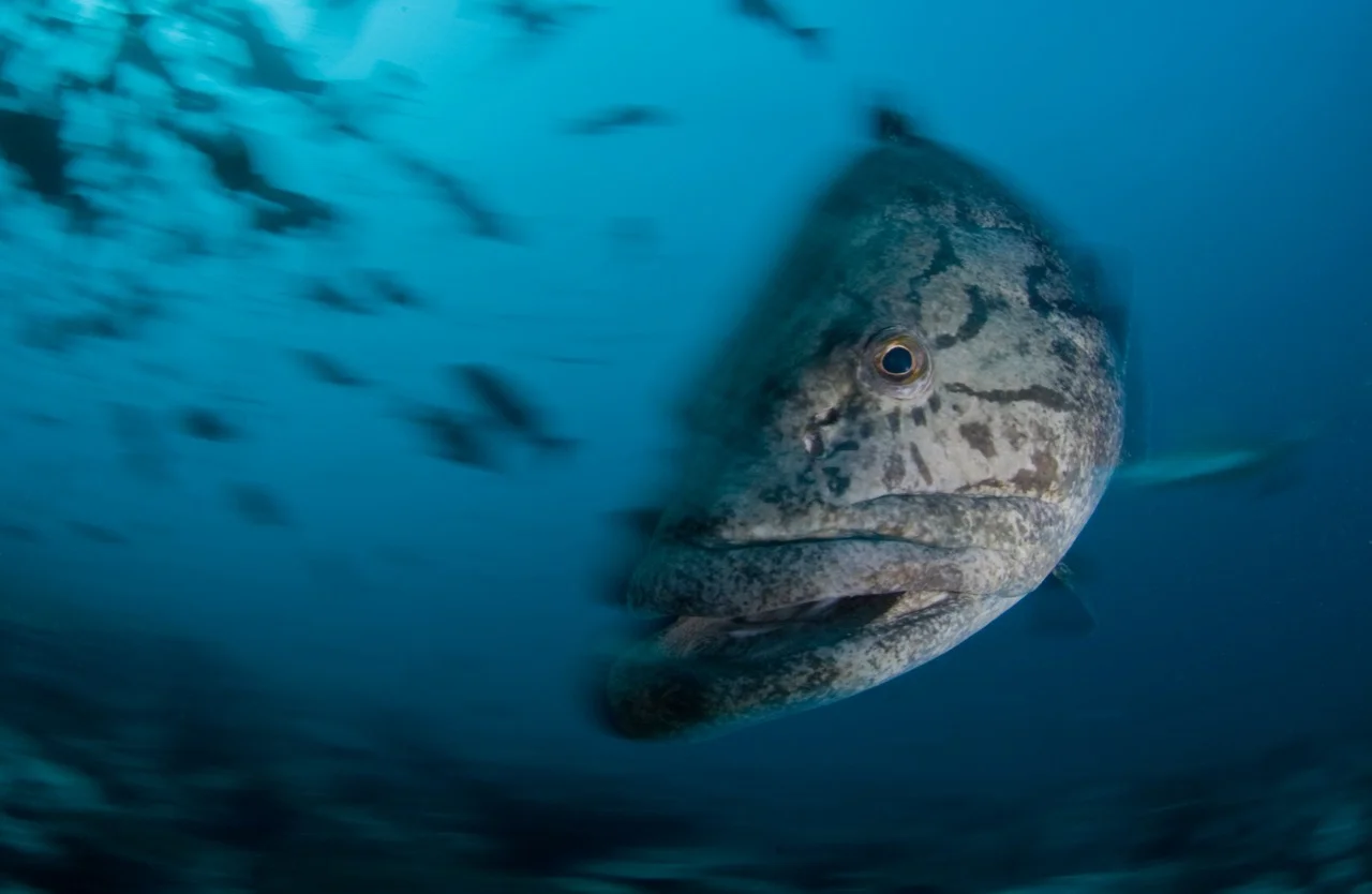 New Gallery 1 - Underwater - 1 of 8.jpg