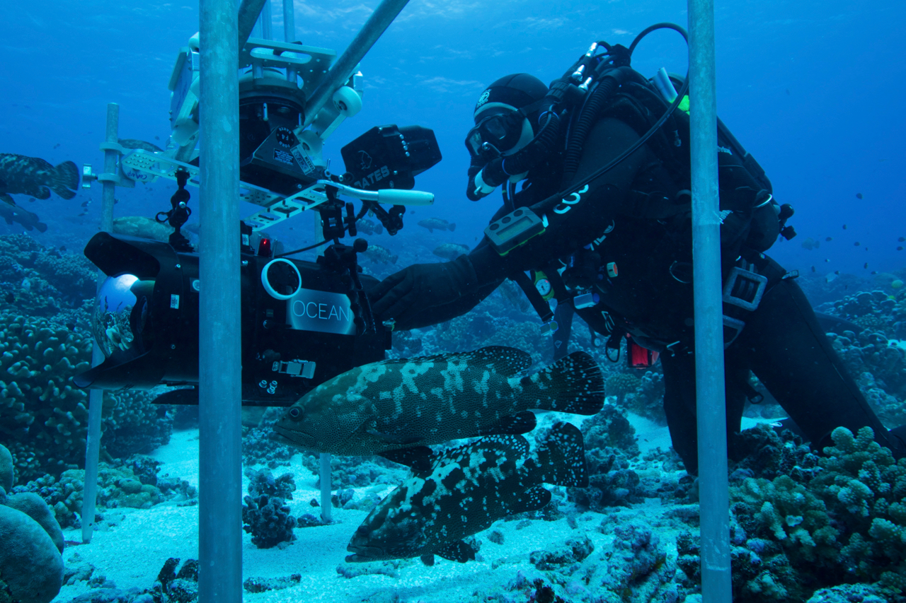 Shooting RED Dragon with underwater slider for 'BLUE PLANET 2 - REEF'