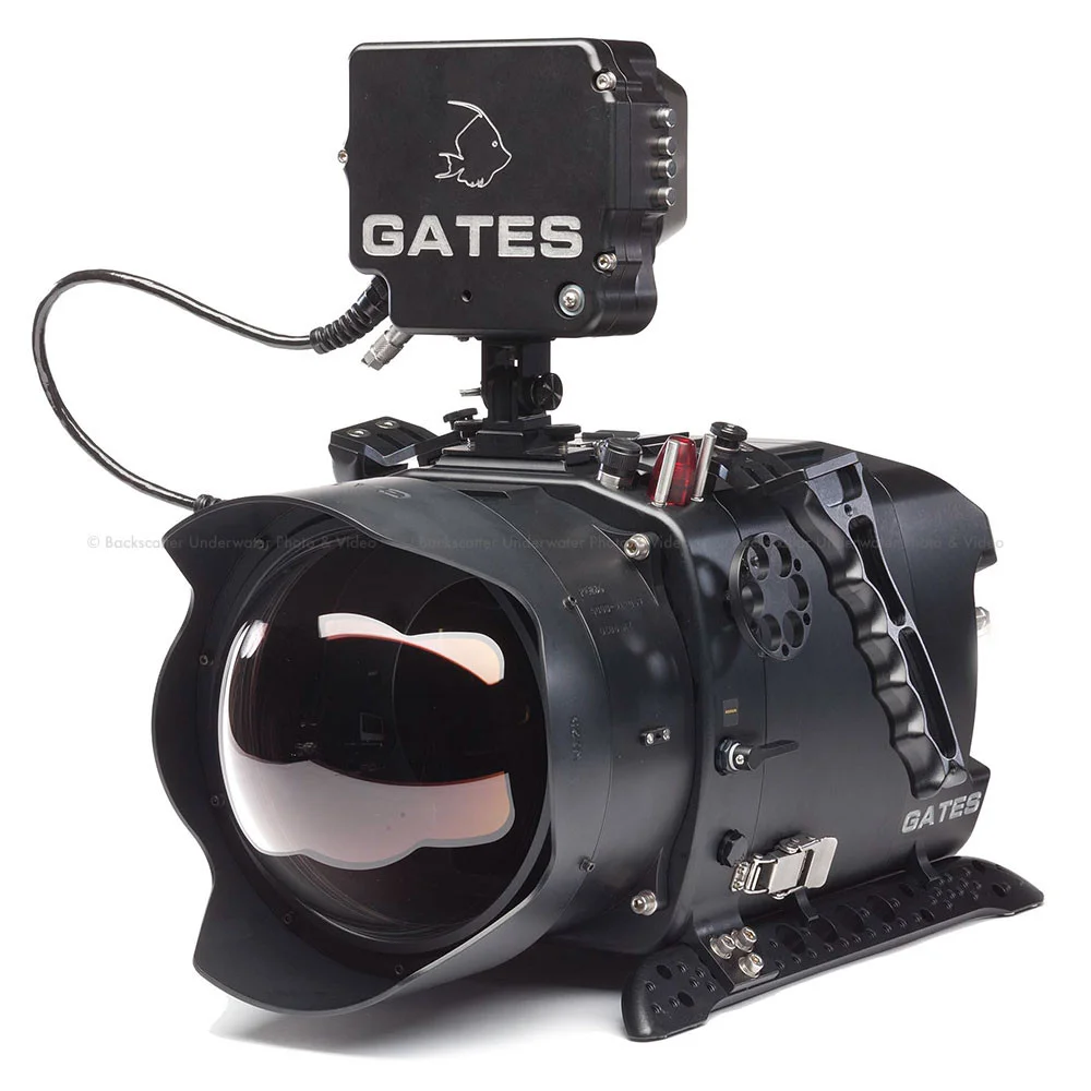 gt-90-10-503_1.jpg