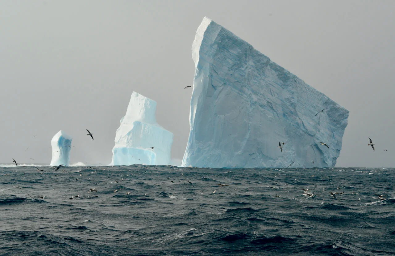 Antarctica 2019 - 4 of 5.jpeg