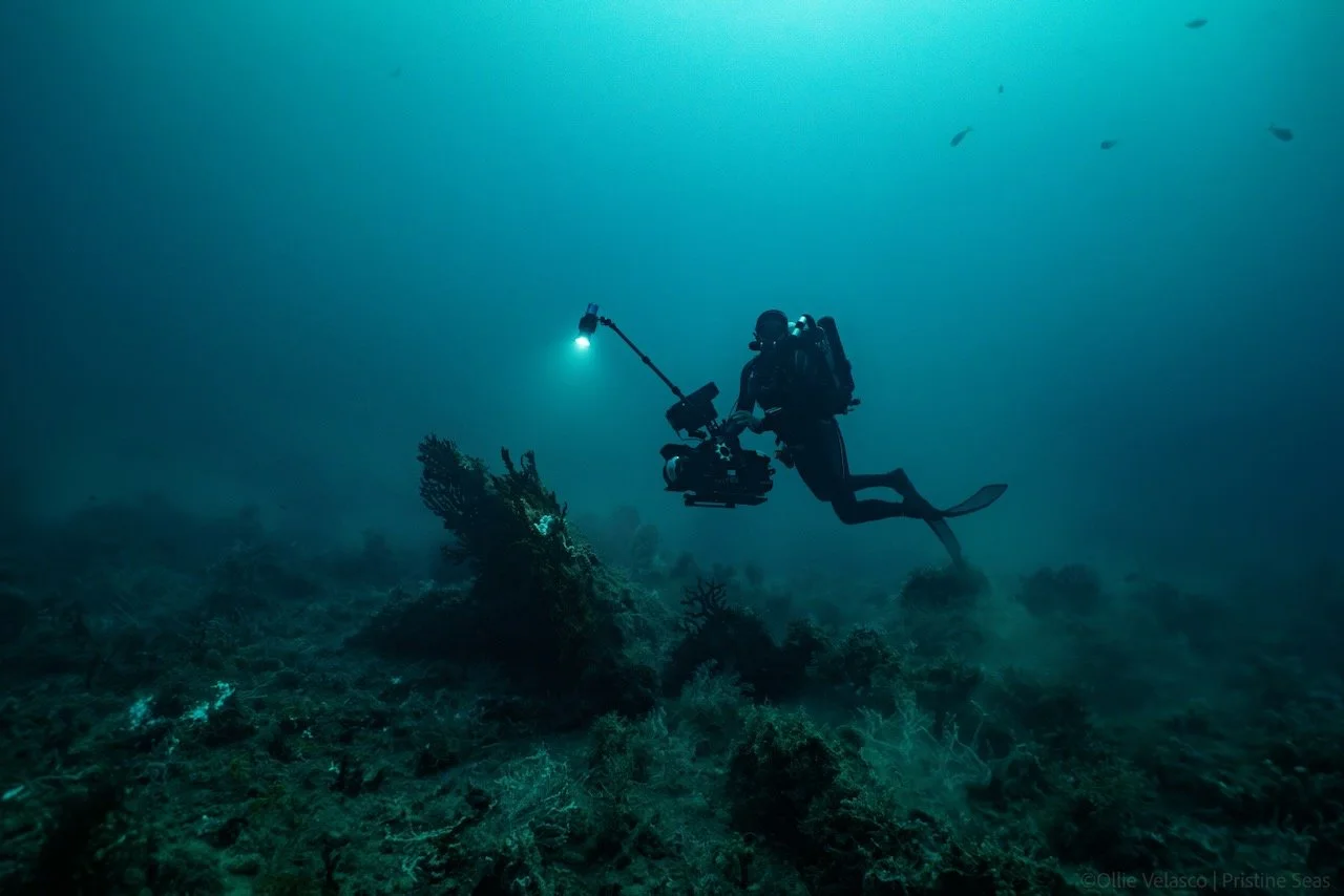 DPB-PRISTINE SEAS - 3 of 11.jpeg