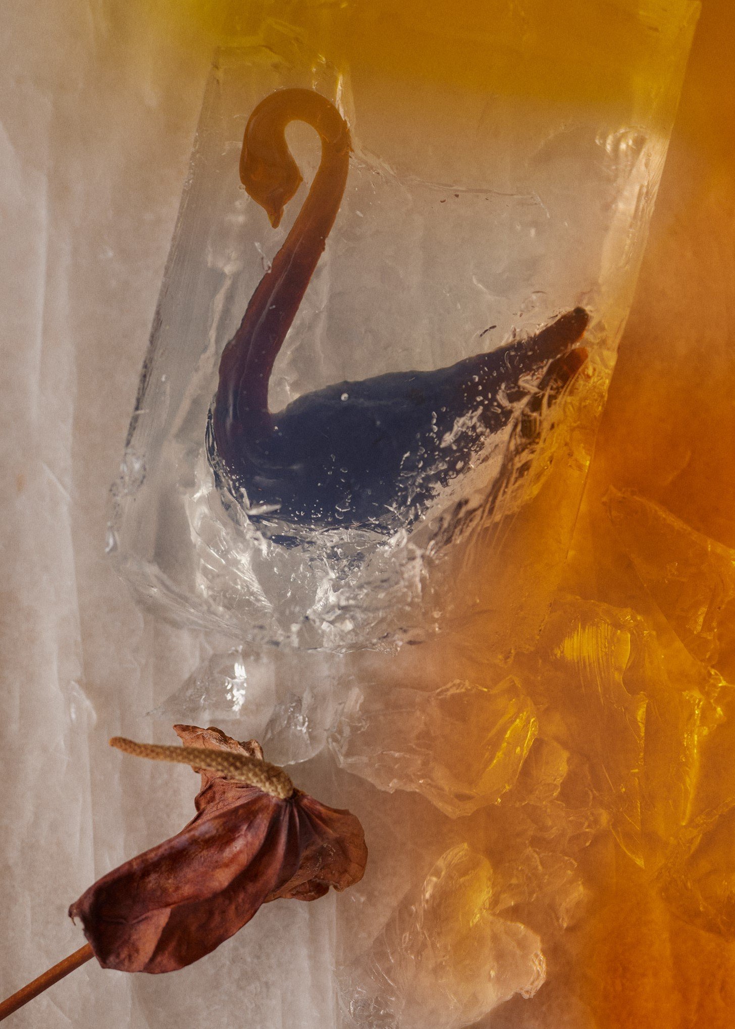 Creative direction & set design Juuli Hakkarainen Photography Katri Kapanen