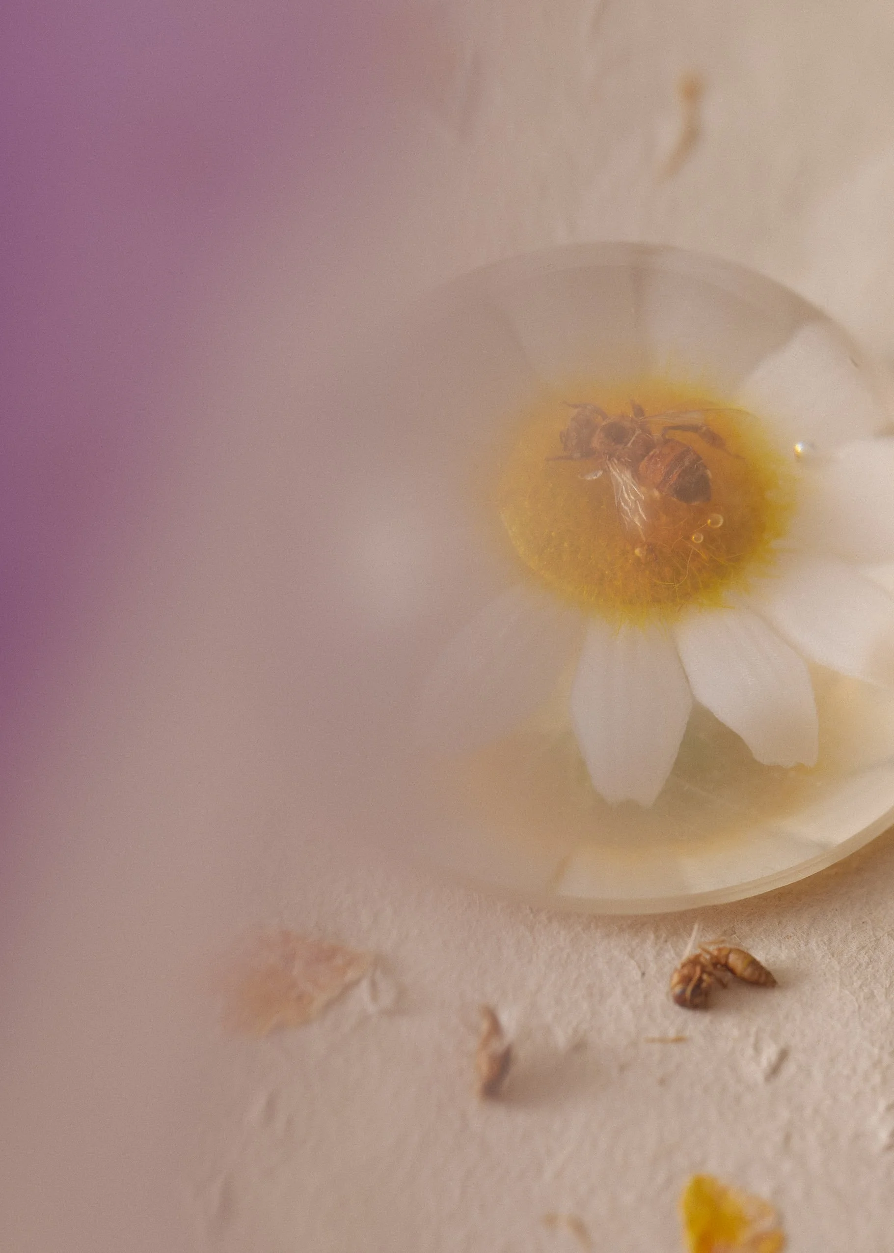 Creative direction & set design Juuli Hakkarainen Photography Katri Kapanen