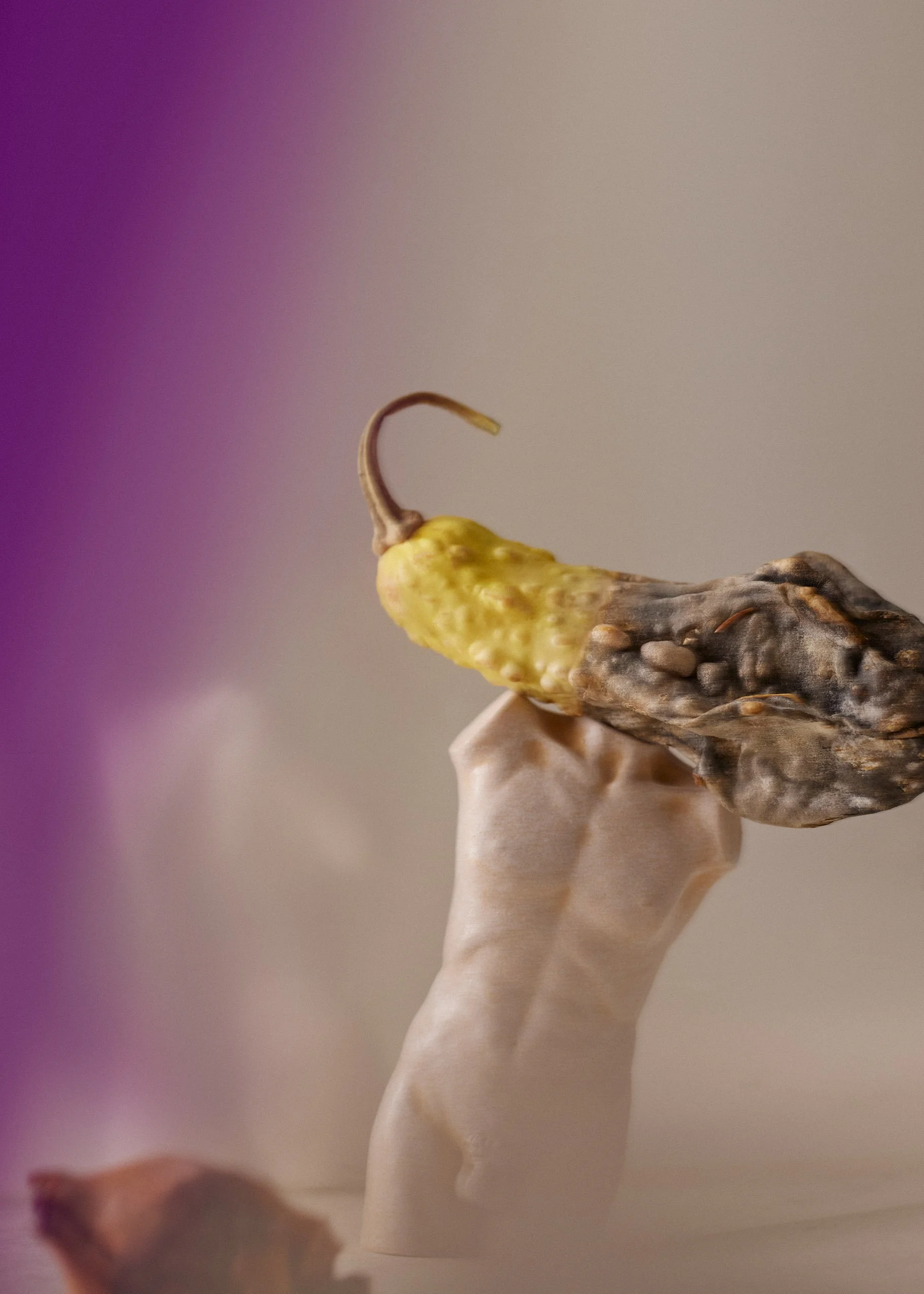 Creative direction & set design Juuli Hakkarainen Photography Katri Kapanen