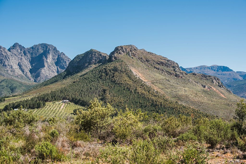 Angelique_Smith_Photography_Franschhoek_K&M-188.jpg