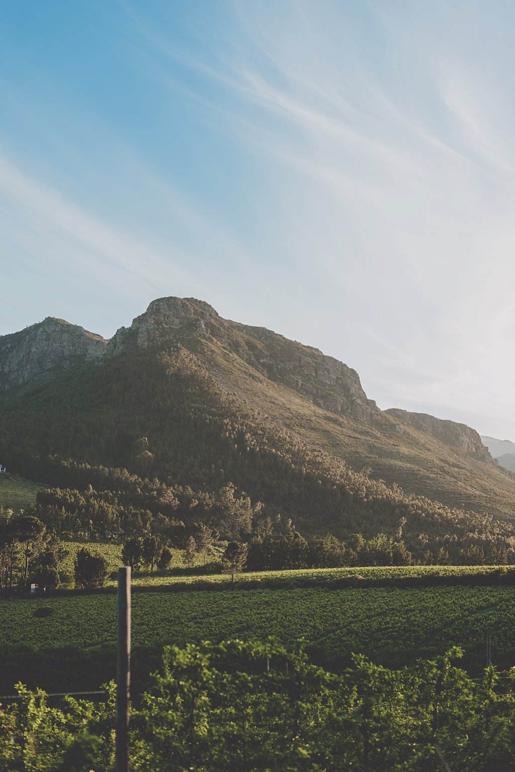 Angelique_Smith_Photography_Franschhoek_K&M-538.jpg